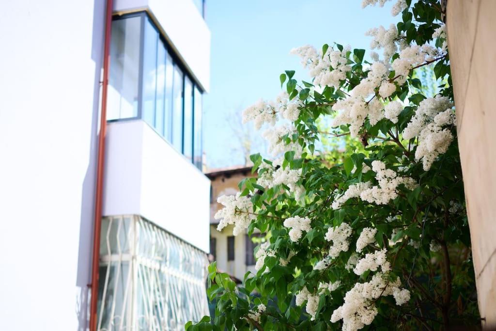 Central Old Town Oasis - Ap 6 Bucarest Exterior foto